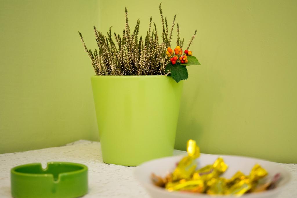 Split Accommodation 部屋 写真